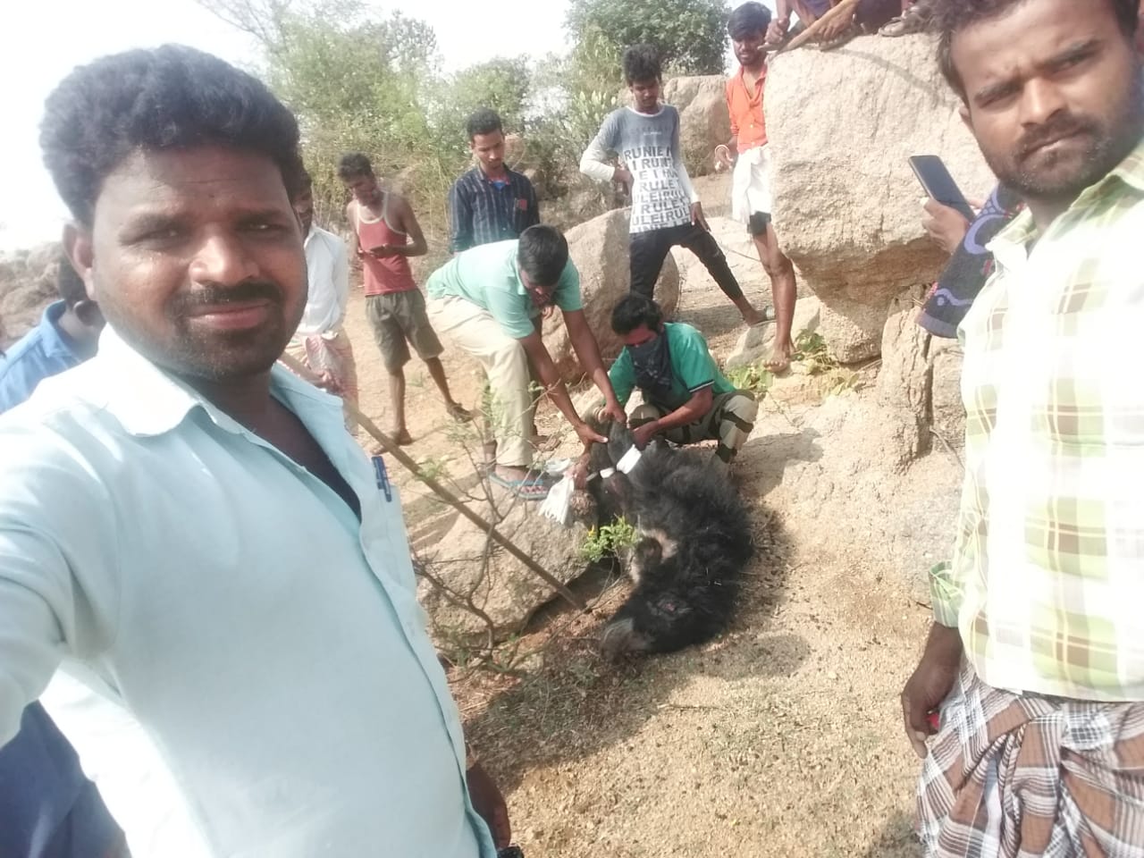 Injured deer rescued