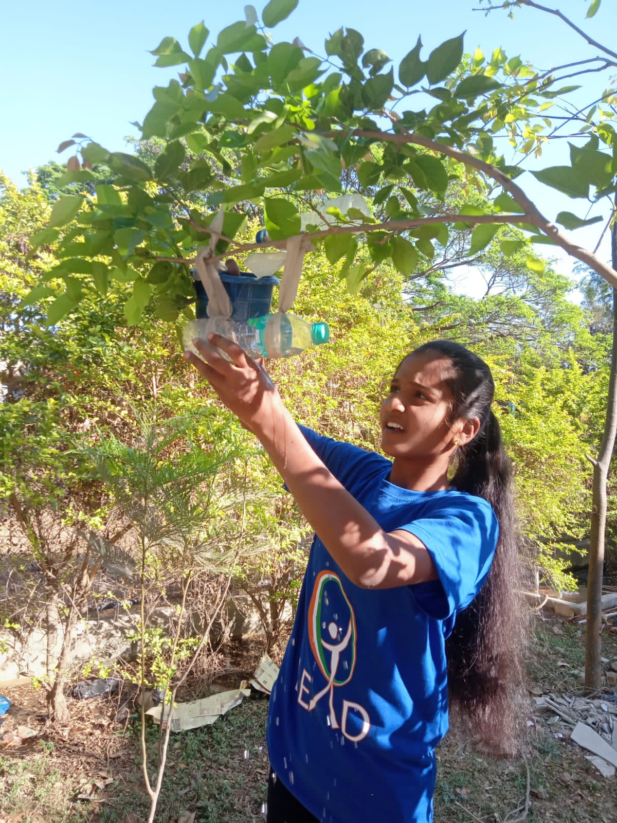 Bird Feeder Project (3)