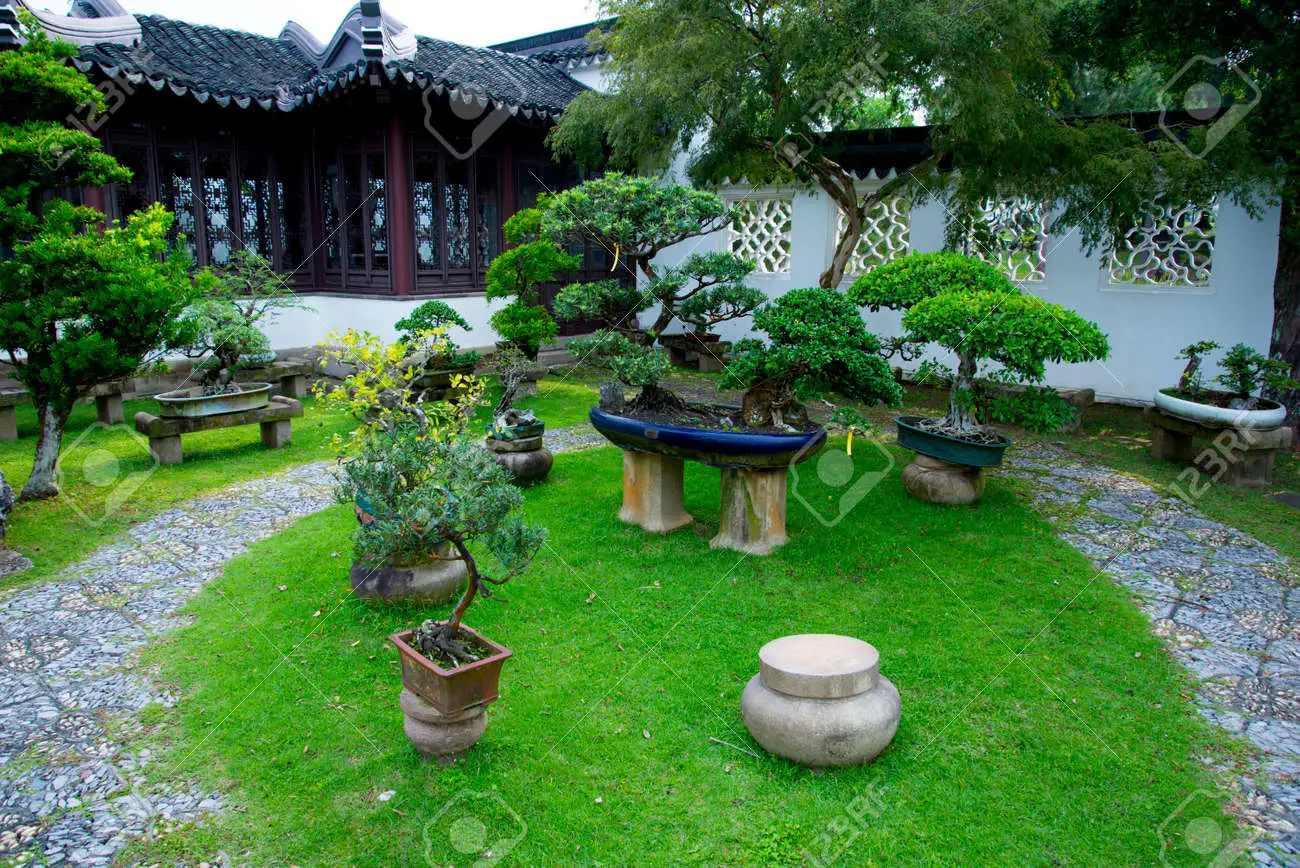 bonsai