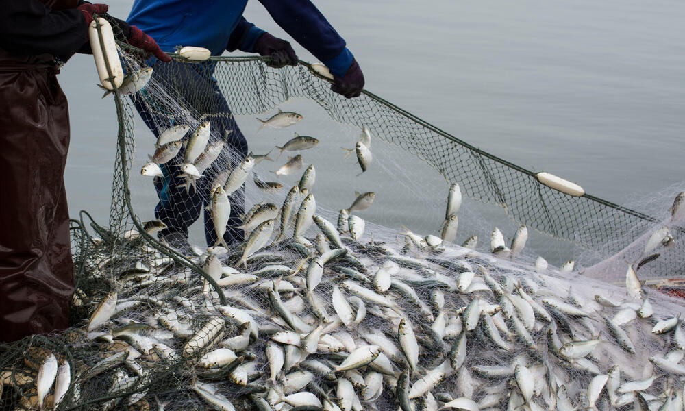 fishing