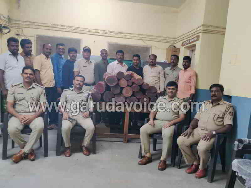 red sandal detection by Channagiri police