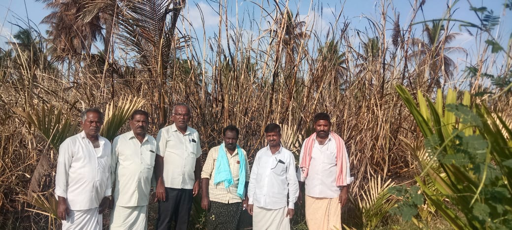 BJP Farmer Morcha State Coordinator visited the burnt sugarcane field: BM Satish consoled the farmers