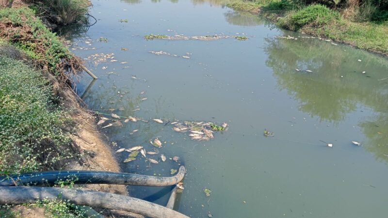 Waste water, smoke from Kukkuwada Sugar Factory. Protest on 19th January - BM Satish