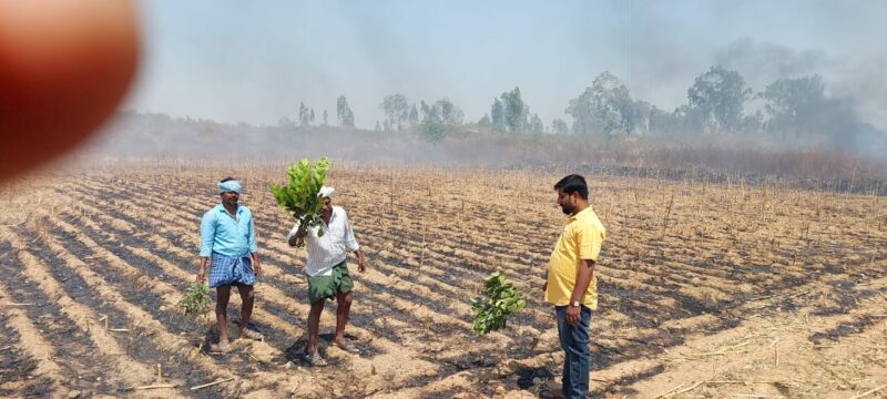 Fire by miscreants in forest department area: Villagers worried