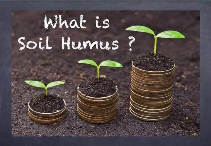 ಹ್ಯೂಮಸ್ ( Humus) : ಇದು ಸಿಹಿಯ ವಾಸನೆ ಬೀರುವ - ದಟ್ಟವಾದ ಬಣ್ಣದಲ್ಲಿರುವ - ಚೆನ್ನಾಗಿ ಮಿಶ್ರಿತ ಸಾವಯವ ವಸ್ತು.