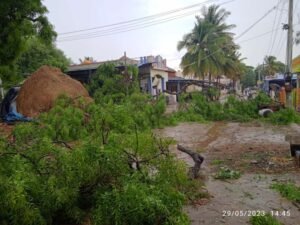 ಜಿಲ್ಲಾದ್ಯಂತ ವರುಣನ ಆರ್ಭಟ, ಕೇಳೋರಿಲ್ಲ ರೈತನ ಸಂಕಟ