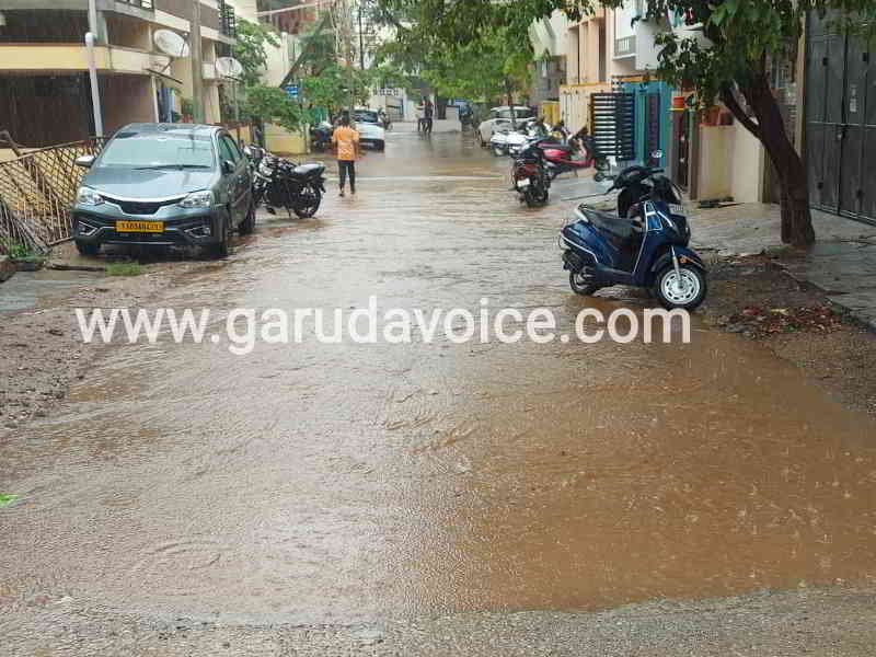 ದಾವಣಗೆರೆ ಜಿಲ್ಲಾದ್ಯಂತ ಕೃಪೆ ತೋರಿದ ವರುಣ: ಕೃಷಿ ಚಟುವಟಿಕೆಗಳು ಚುರುಕು