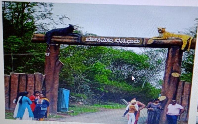 ಜೋಗಿಮಟ್ಟಿ : ಕೋಟೆನಾಡಿನಲ್ಲಿ ಮಲೆನಾಡಿನ ಸೊಬಗು…! ಪ್ರವಾಸಿಗರು ಫುಲ್ ಖುಷ್..!