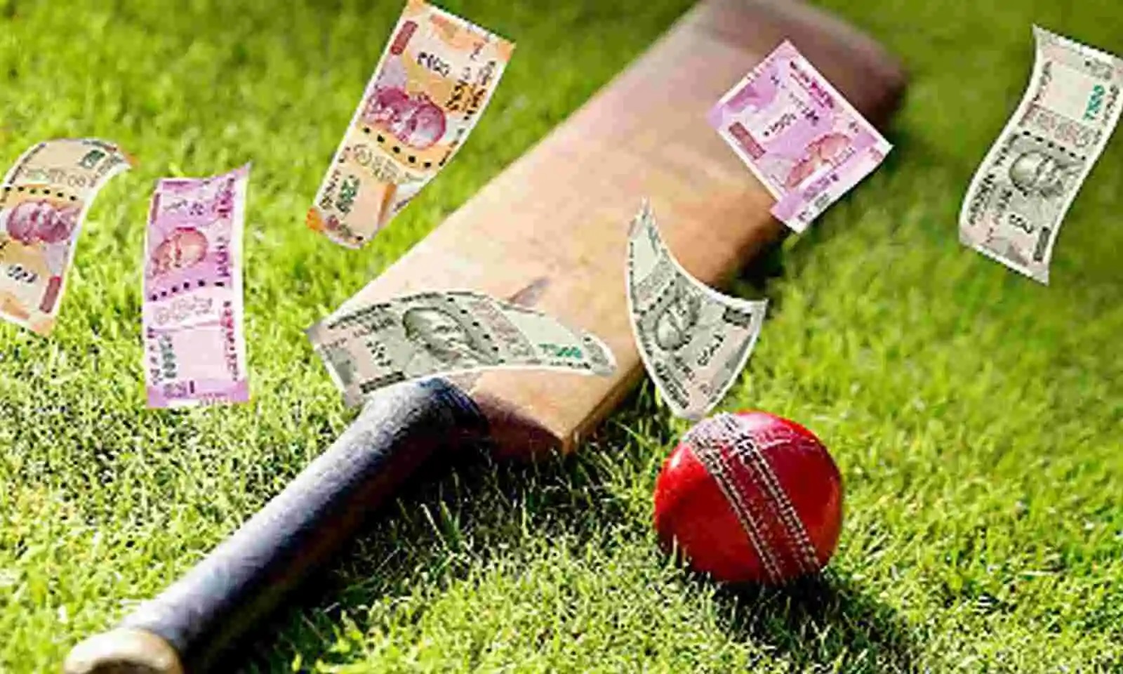 cricket betting dvg