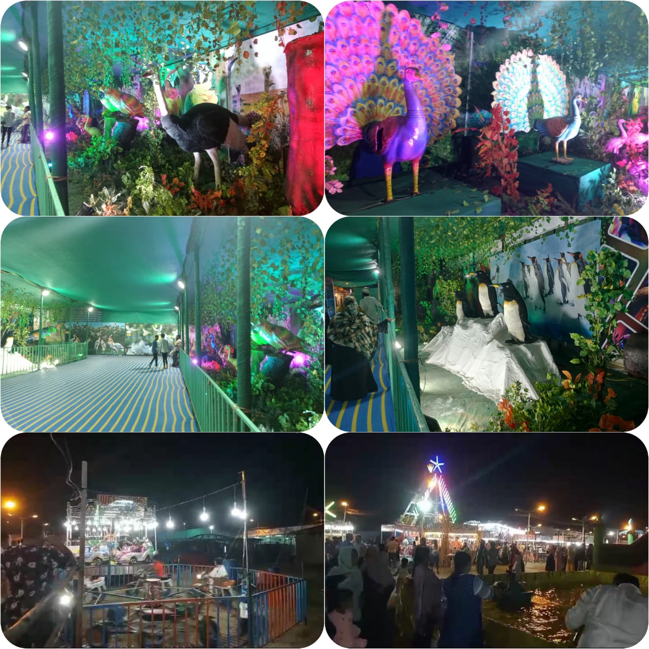 exhibition