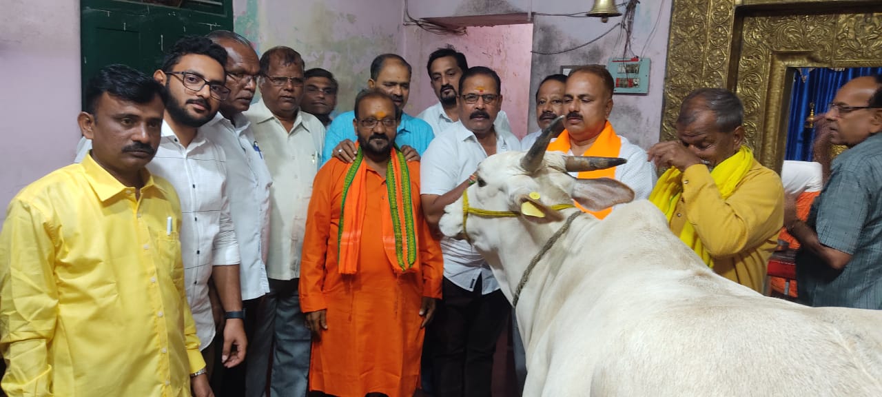 Special Puja to Cow on Diwali Cow has important place in Indian culture: BJP leader K. B. Kotresh