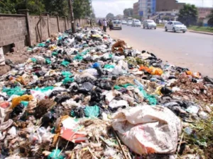 Garbage management system failed in the corporation; A fine of Rs.1.22 lakh was recovered